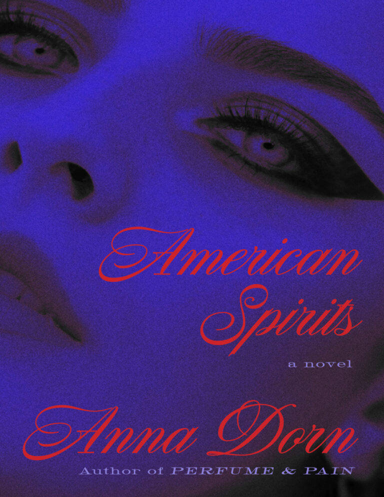 American Spirits Anna Dorn Kitap Kapağı