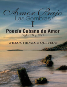 Amor Bajo Las Sombras I Spanish Edition Wilson Hidalgo Quevedo Kitap Kapağı