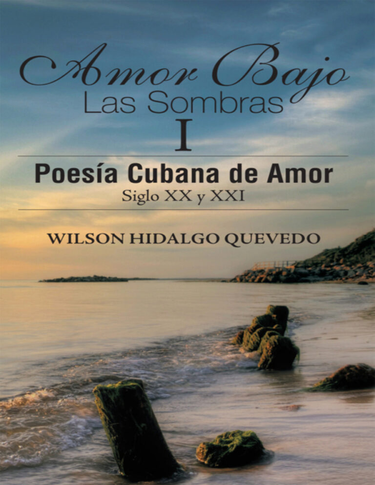 Amor Bajo Las Sombras I Spanish Edition Wilson Hidalgo Quevedo Kitap Kapağı
