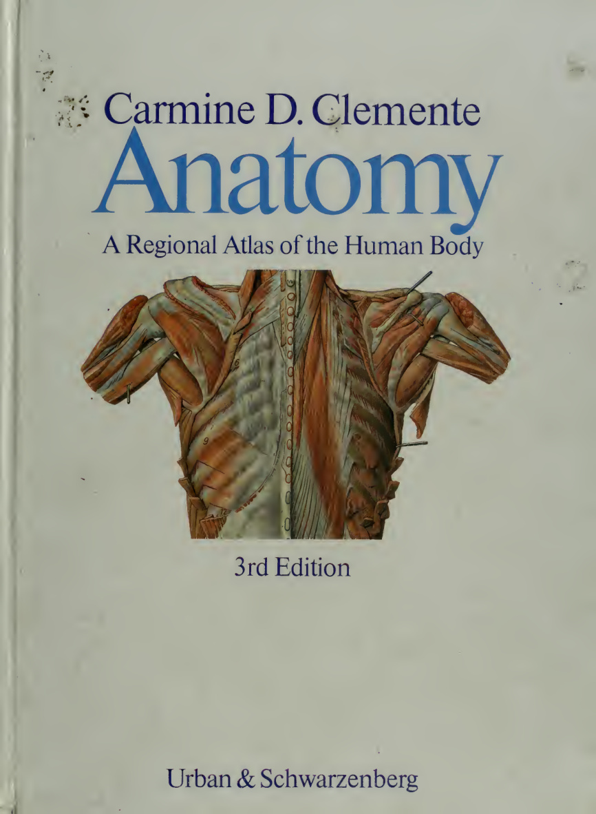 Anatomy A Regional Atlas of the Human Body PDF Download