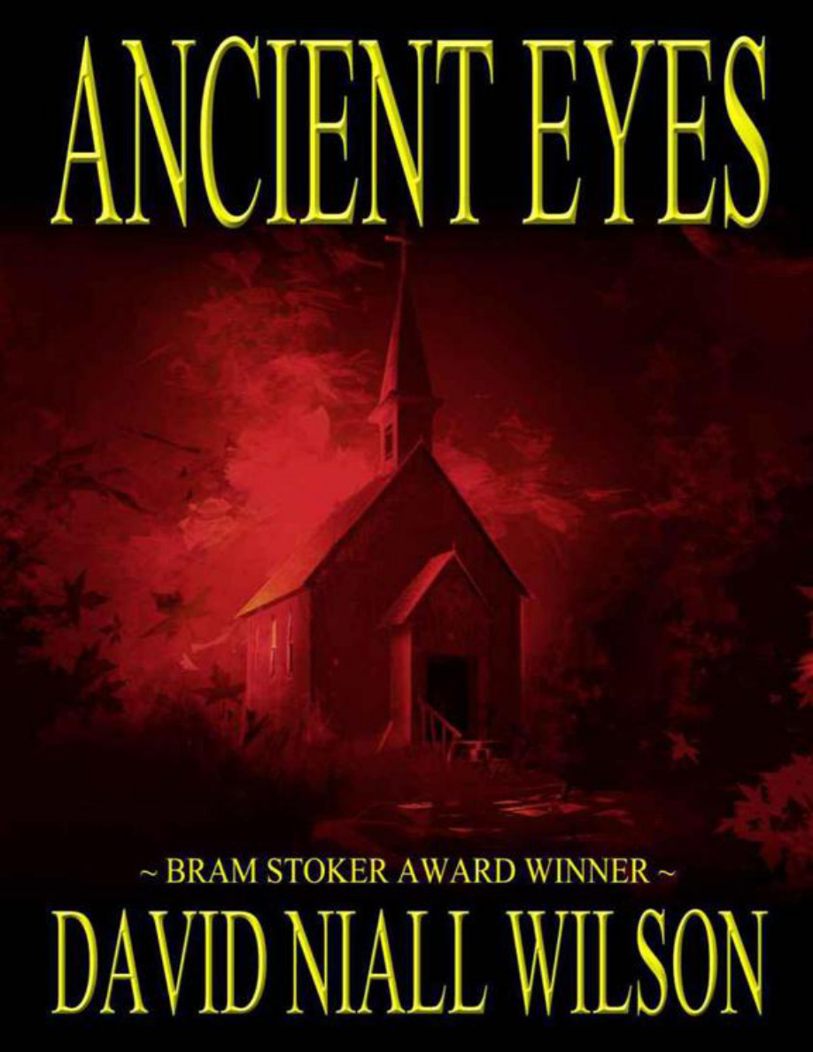 Ancient Eyes PDF Download – David Niall Wilson