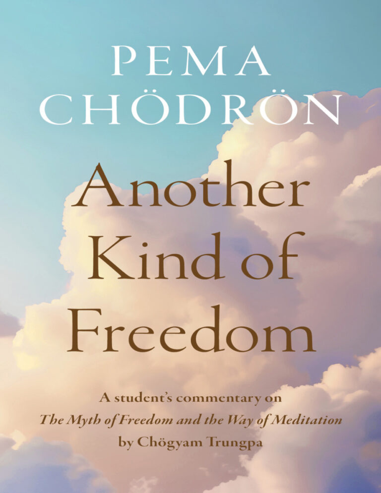 Another Kind of Freedom Pema Chodron Kitap Kapağı
