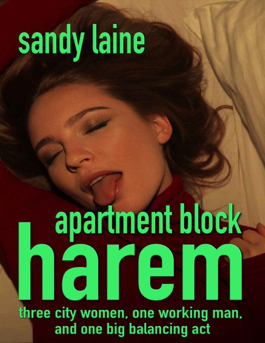 Apartment Block Harem Sandy Laine Kitap Kapağı