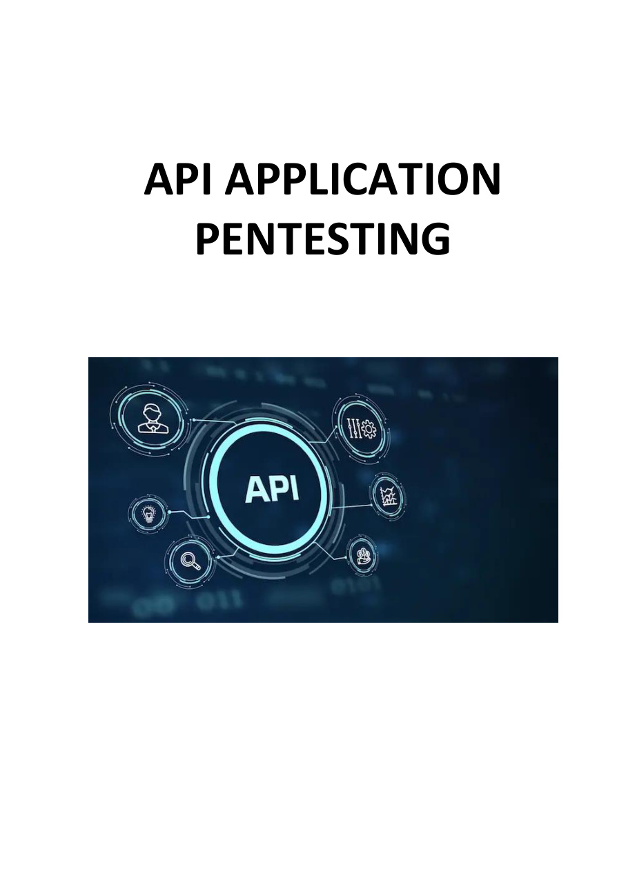 API Application Pentesting PDF Download