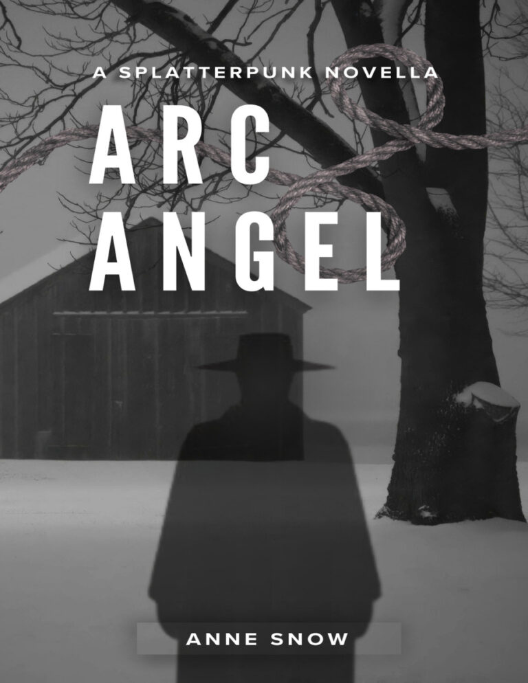 Arc angel Anne snow Kitap Kapağı