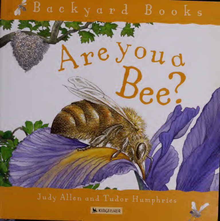 Are you a bee Judy Allen Kitap Kapağı