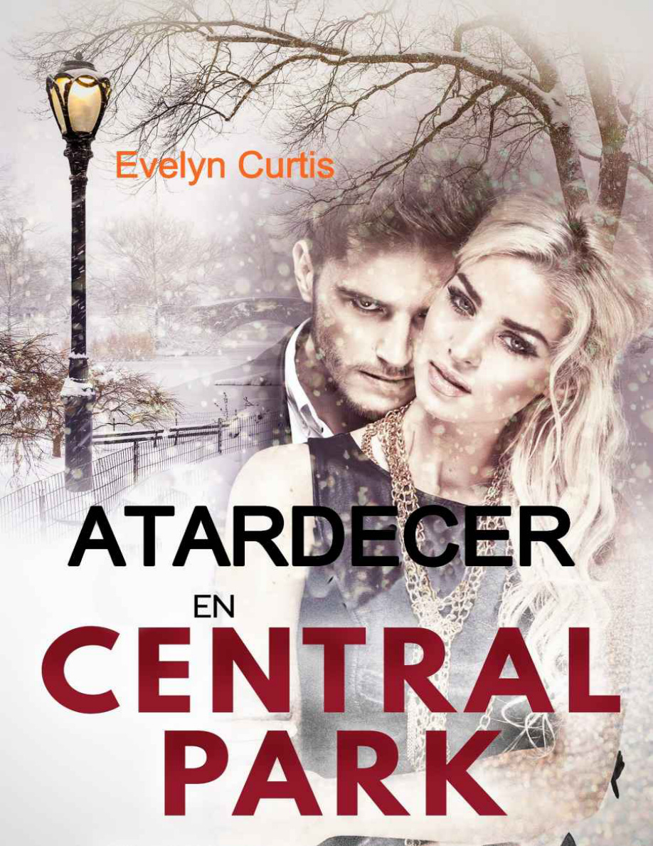 Atardecer en Central Park PDF Download
