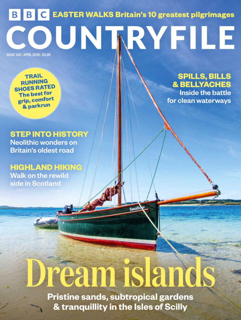 BBC Countryfile Magazine Issue 240 April 2026 BBC Countryfile Magazine Kitap Kapağı