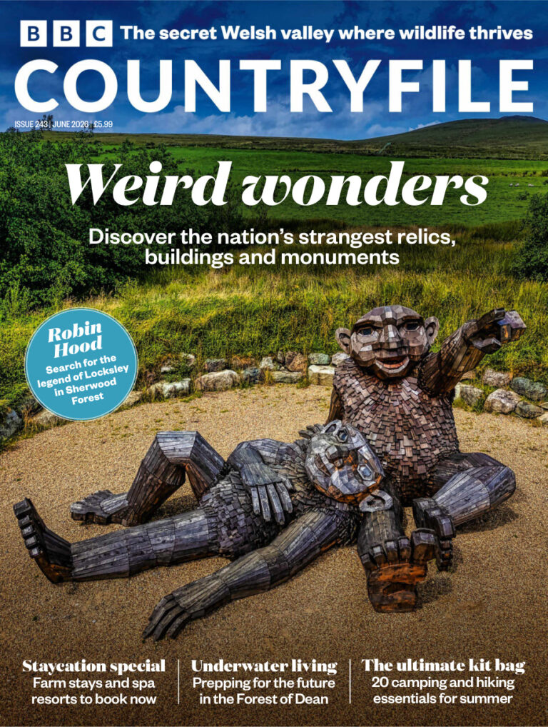 BBC Countryfile Magazine Issue 243 June 2026 BBC Countryfile Magazine Kitap Kapağı