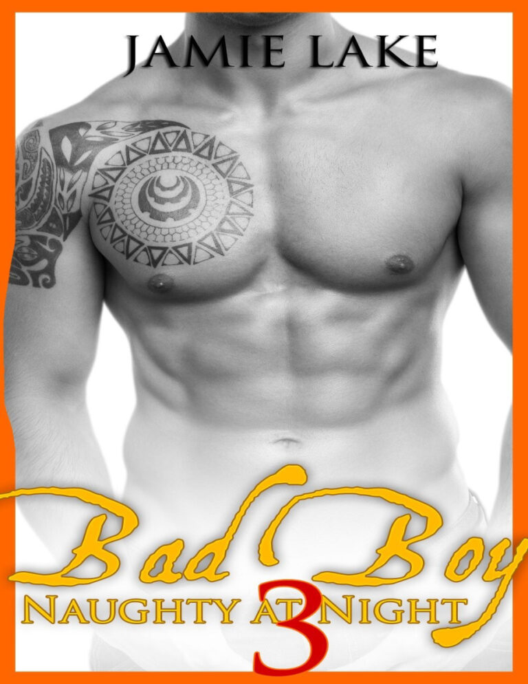 Bad Boy Naughty at Night 3 Jamie Lake Kitap Kapağı