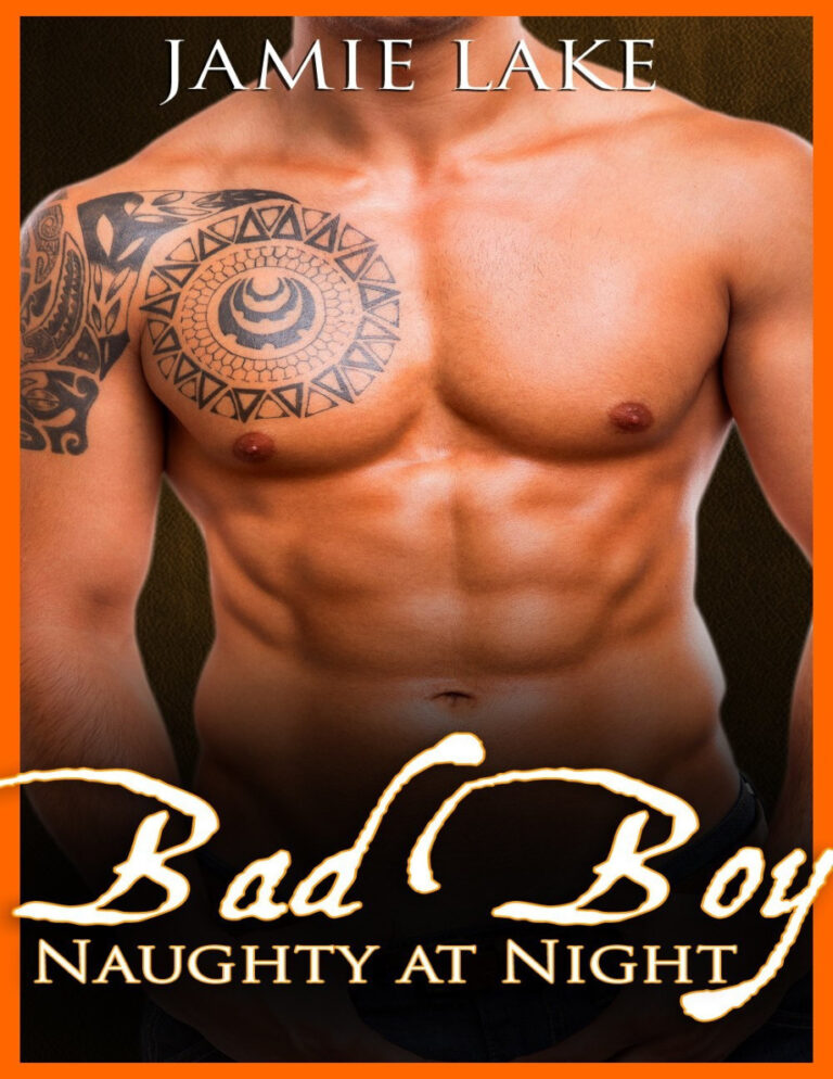 Bad boy Naughty at Night Jamie Lake Kitap Kapağı