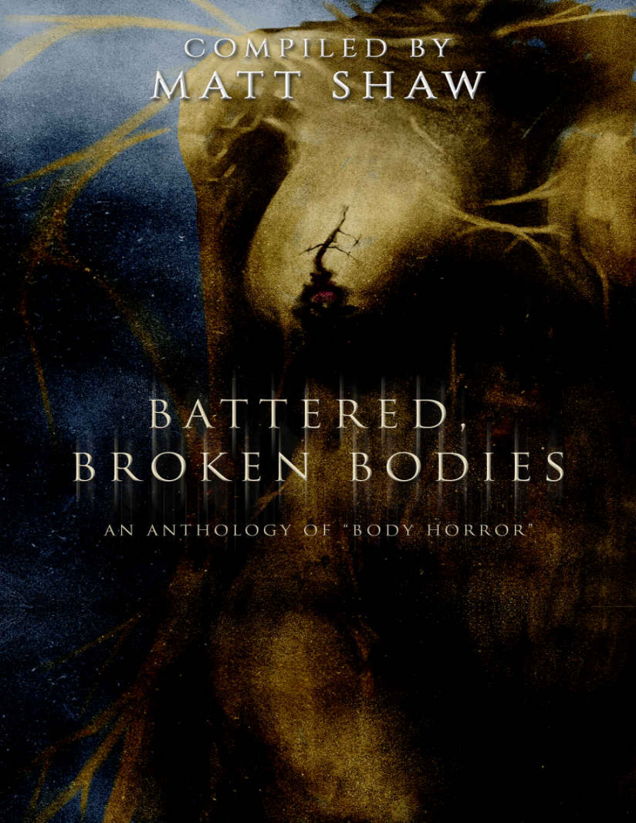 Battered Broken Bodies Matt Shaw Kitap Kapağı