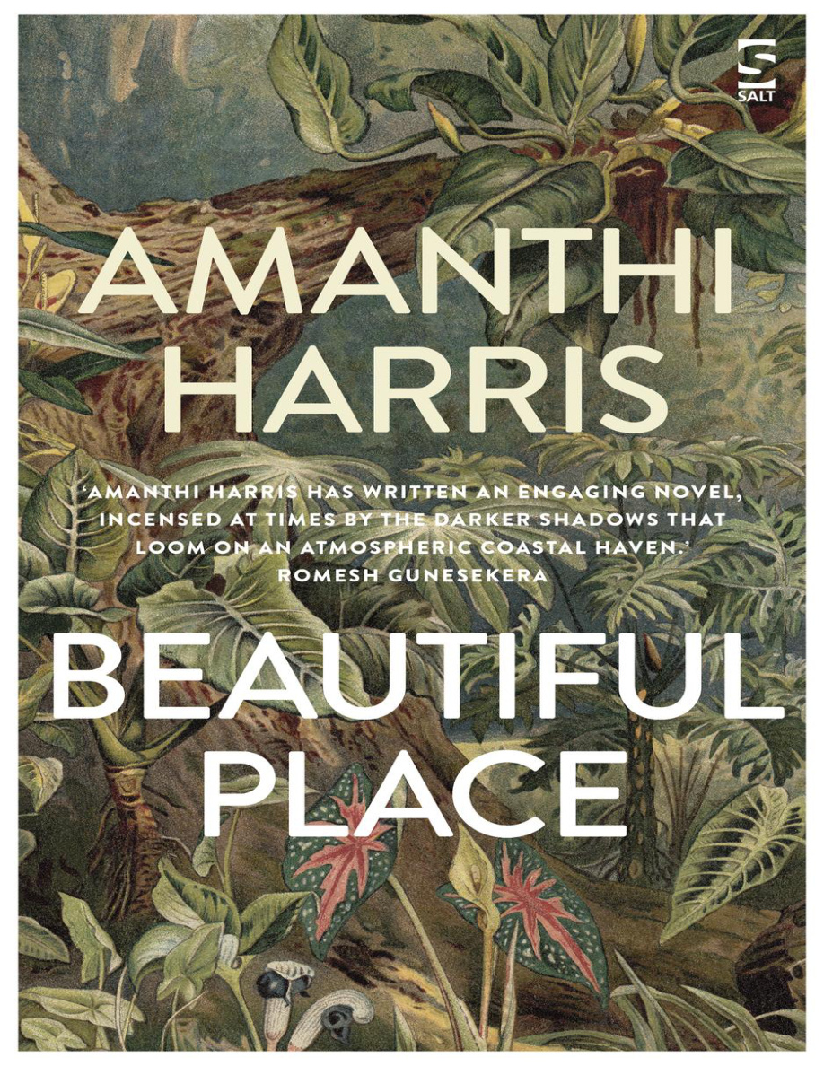 Beautiful Place PDF Download – Amanthi Harris