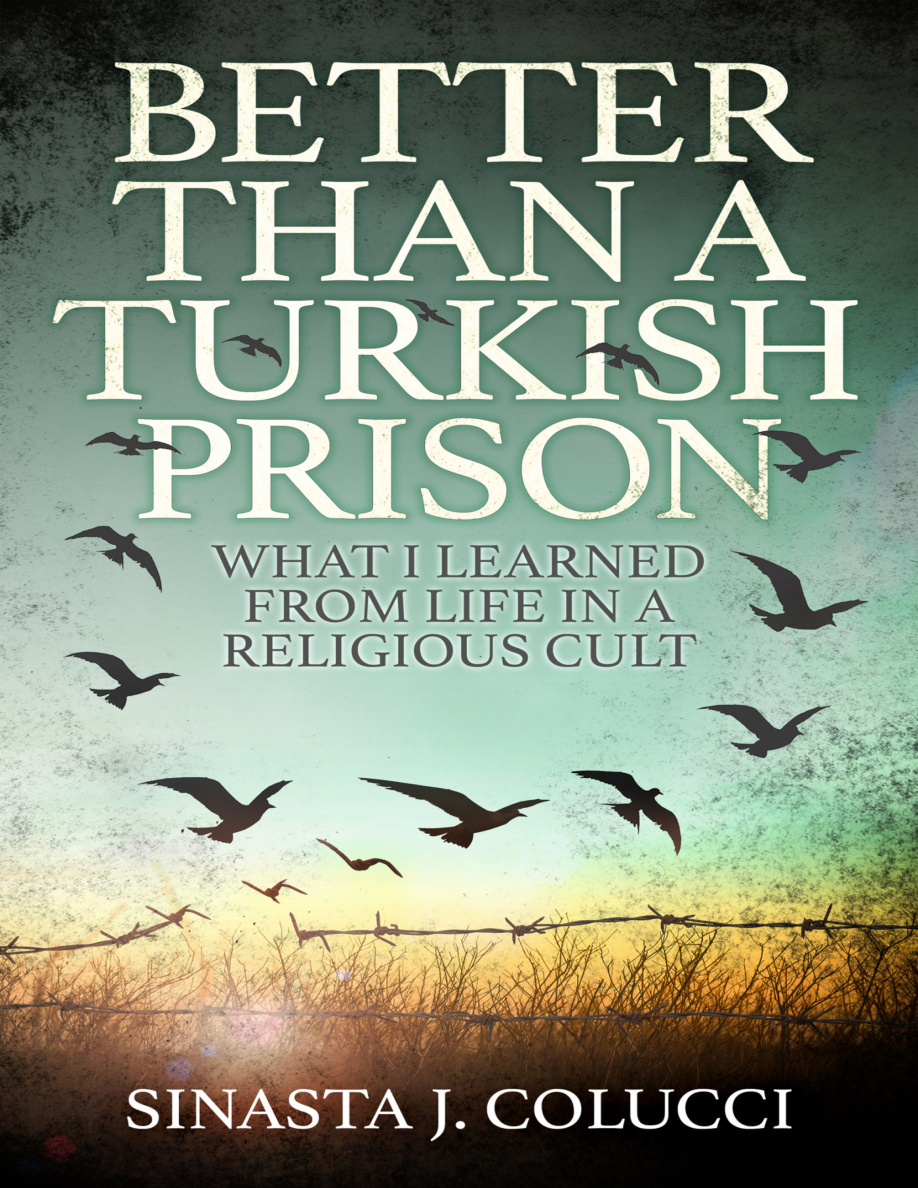 Better Than a Turkish Prison PDF Download