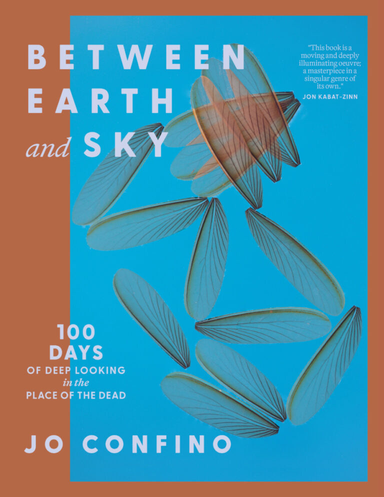 Between Earth and Sky Jo Confino Kitap Kapağı
