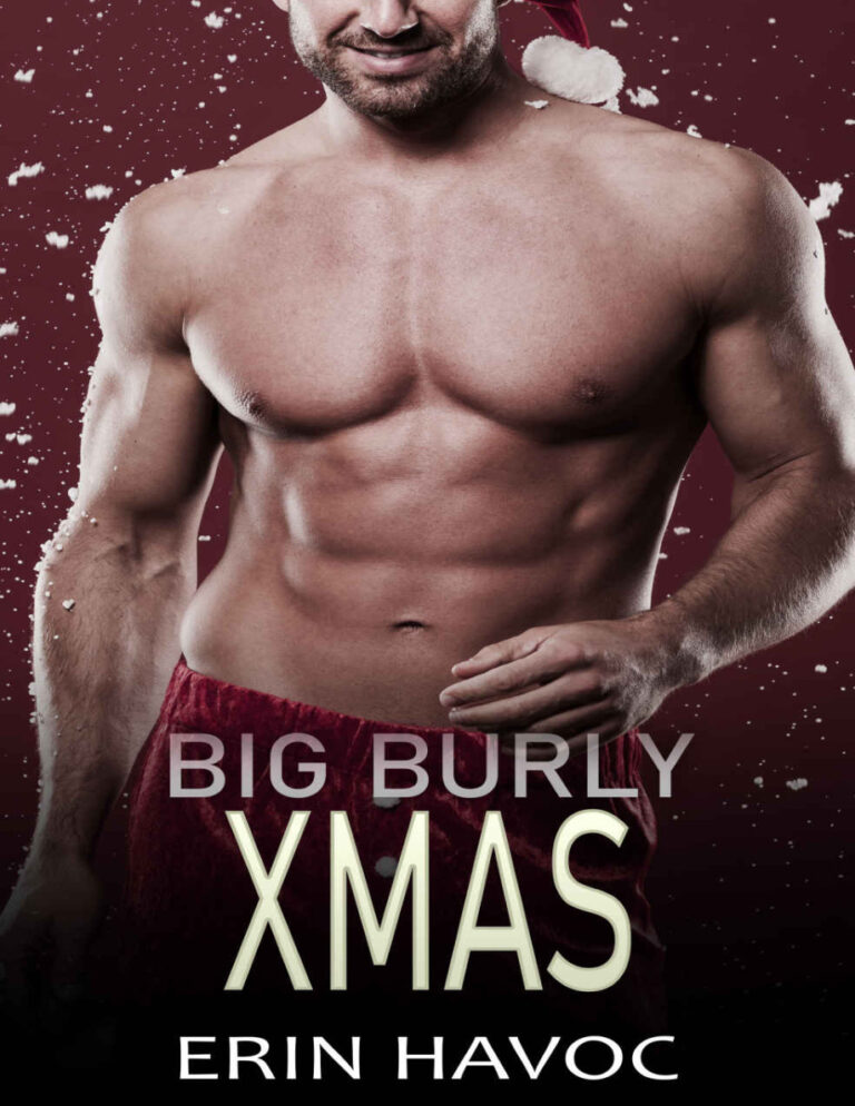 Big Burly Xmas Erin Havoc Kitap Kapağı