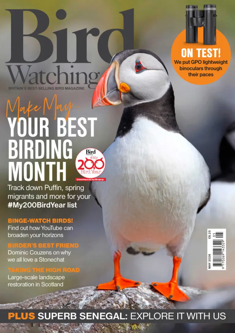 Bird Watching UK May 2026 Bird Watching UK Kitap Kapağı