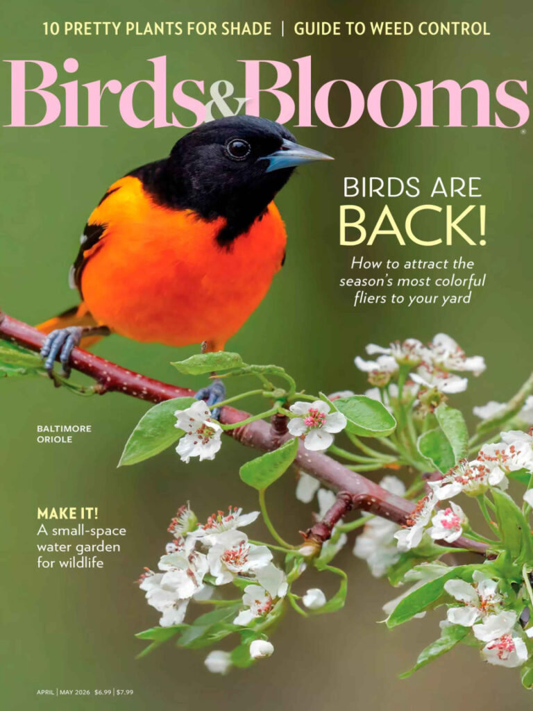 Birds n Blooms AprilMay 2026 Birds n Blooms Kitap Kapağı