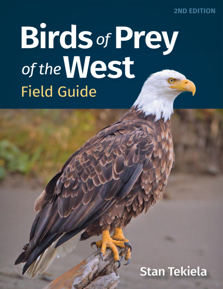 Birds of Prey of the West Field Guide 2nd Ed Stan Tekiela Kitap Kapağı