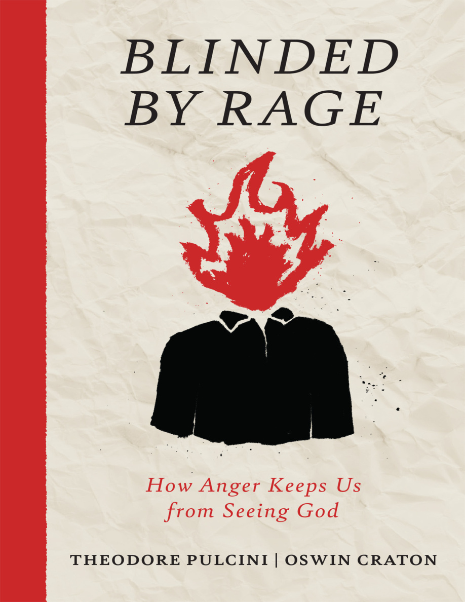 Blinded by Rage PDF Download – Theodore Pulcini