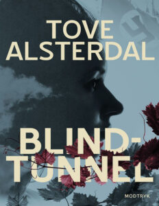 Blindtunnel Danish Edition Tove Alsterdal Kitap Kapağı