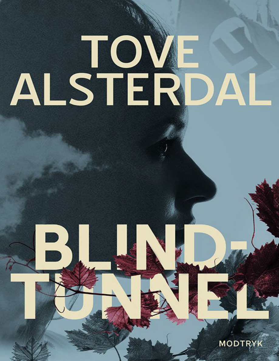Blindtunnel PDF Download