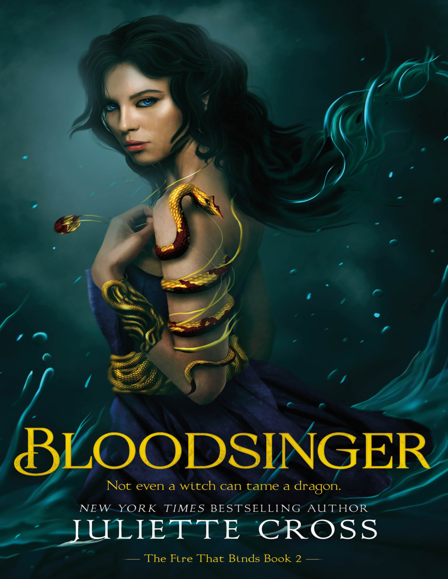 Bloodsinger PDF Download