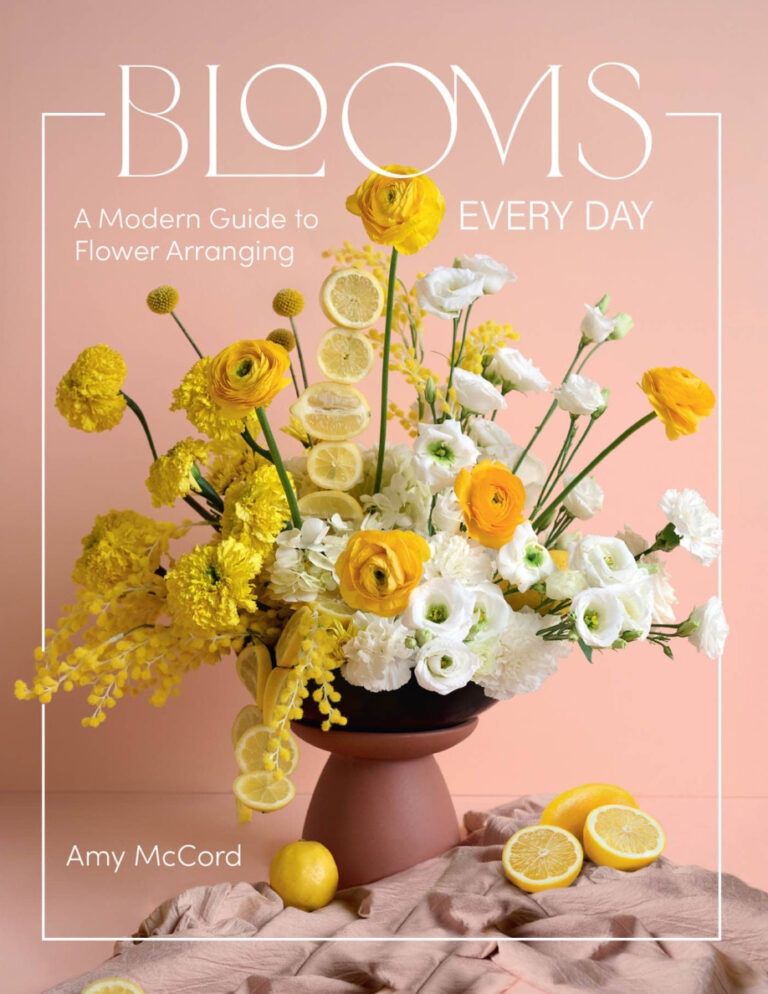 Blooms Every Day Amy McCord Kitap Kapağı