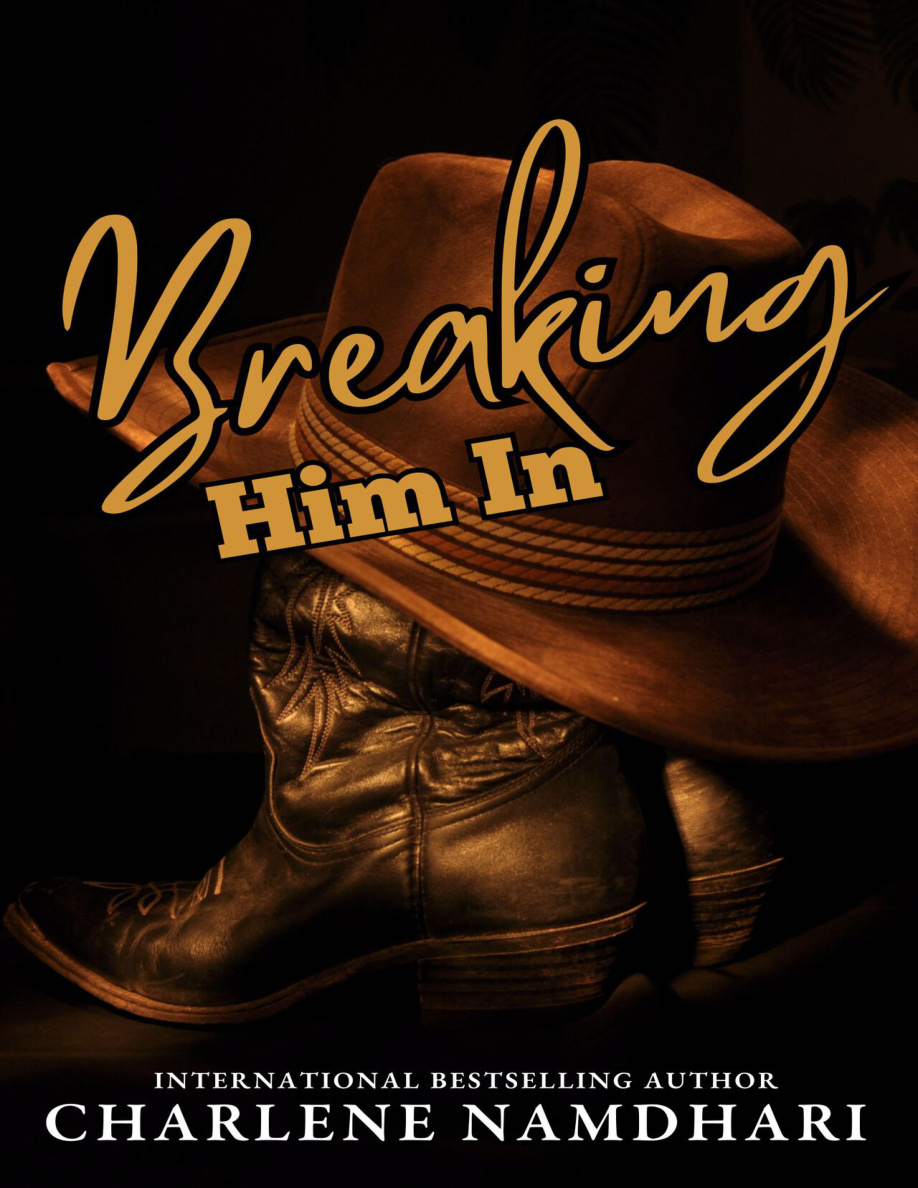 Breaking Him In PDF Download