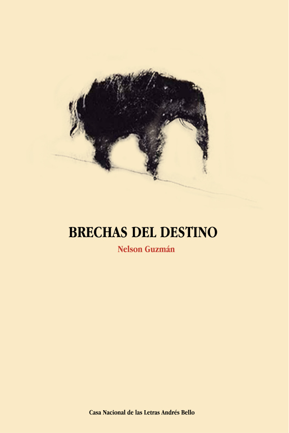 Brechas del destino Spanish Edition Nelson Guzman Kitap Kapağı