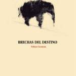 Brechas del destino Spanish Edition Nelson Guzman Kitap Kapağı