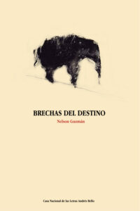 Brechas del destino Spanish Edition Nelson Guzman Kitap Kapağı