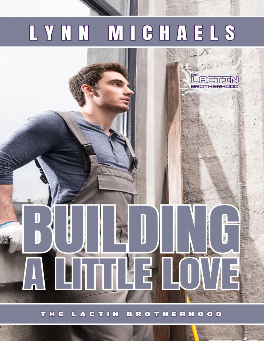 Buliding a little love Lynn michaels Kitap Kapağı