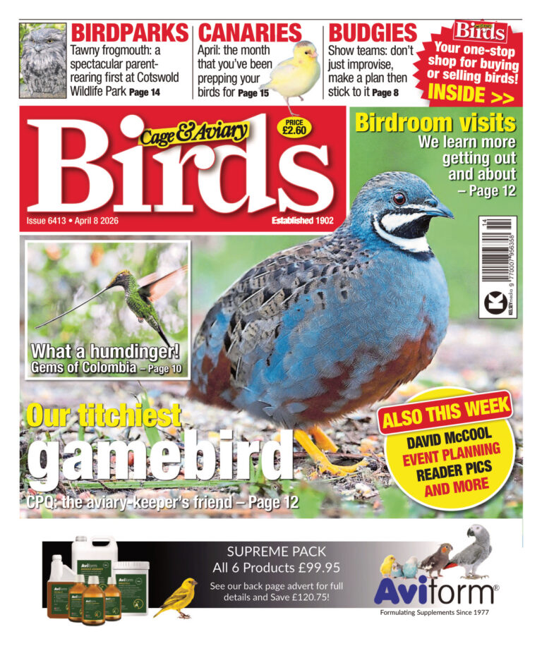 Cage n Aviary Birds Issue 6413 8 April 2026 Cage n Aviary Birds Kitap Kapağı