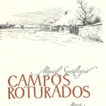 Campos roturados Spanish Edition Mijail Sholojov Kitap Kapağı
