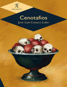 Cenotafios Spanish Edition Jose Luis Gomez Lobo Kitap Kapağı