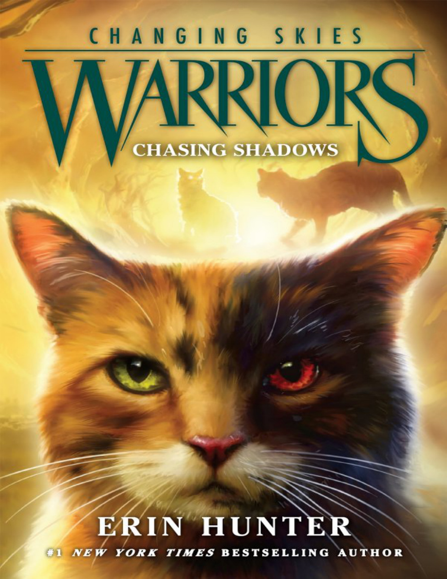 Chasing Shadows Erin Hunter Kitap Kapağı
