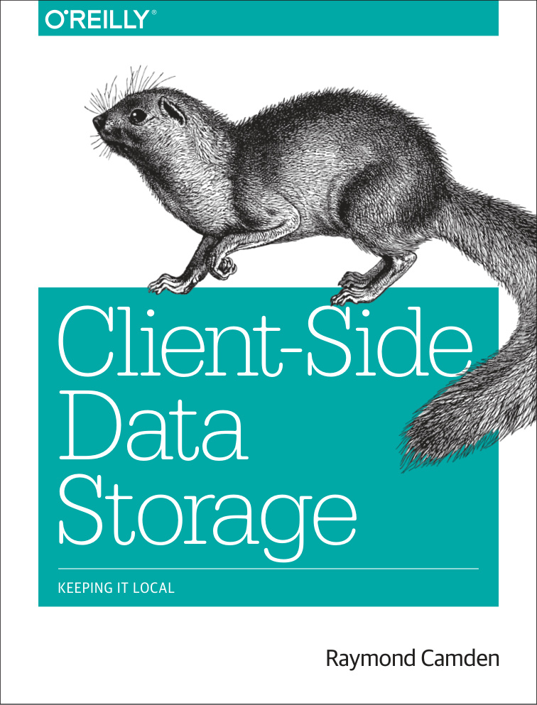 Client Side Data Storage Keeping Kitap Kapağı