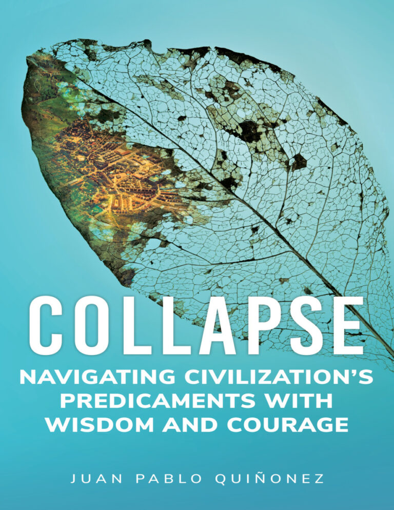 Collapse Juan Pablo Quinonez Kitap Kapağı