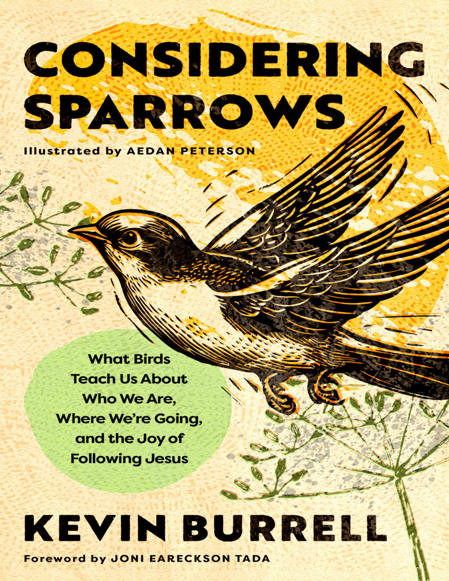 Considering Sparrows PDF Download