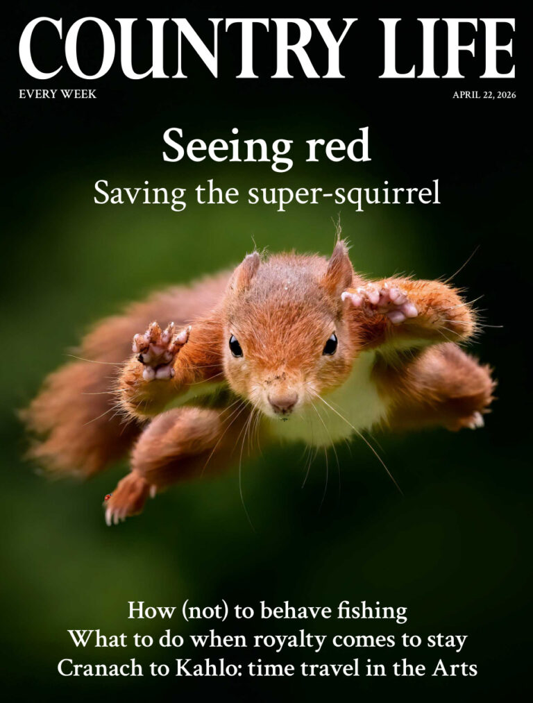 Country Life UK 22 April 2026 Country Life UK Kitap Kapağı
