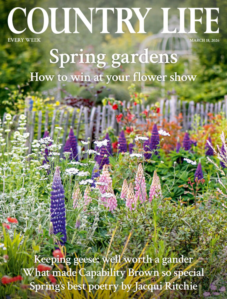 Country Life UK March 18 2026 Country Life UK Kitap Kapağı
