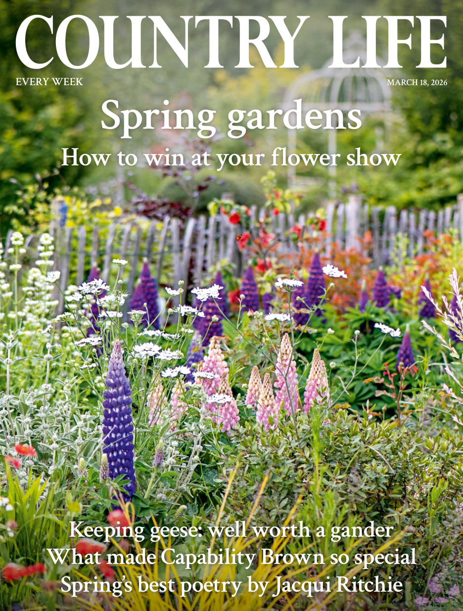 Country Life UK March 18 2026 PDF Download