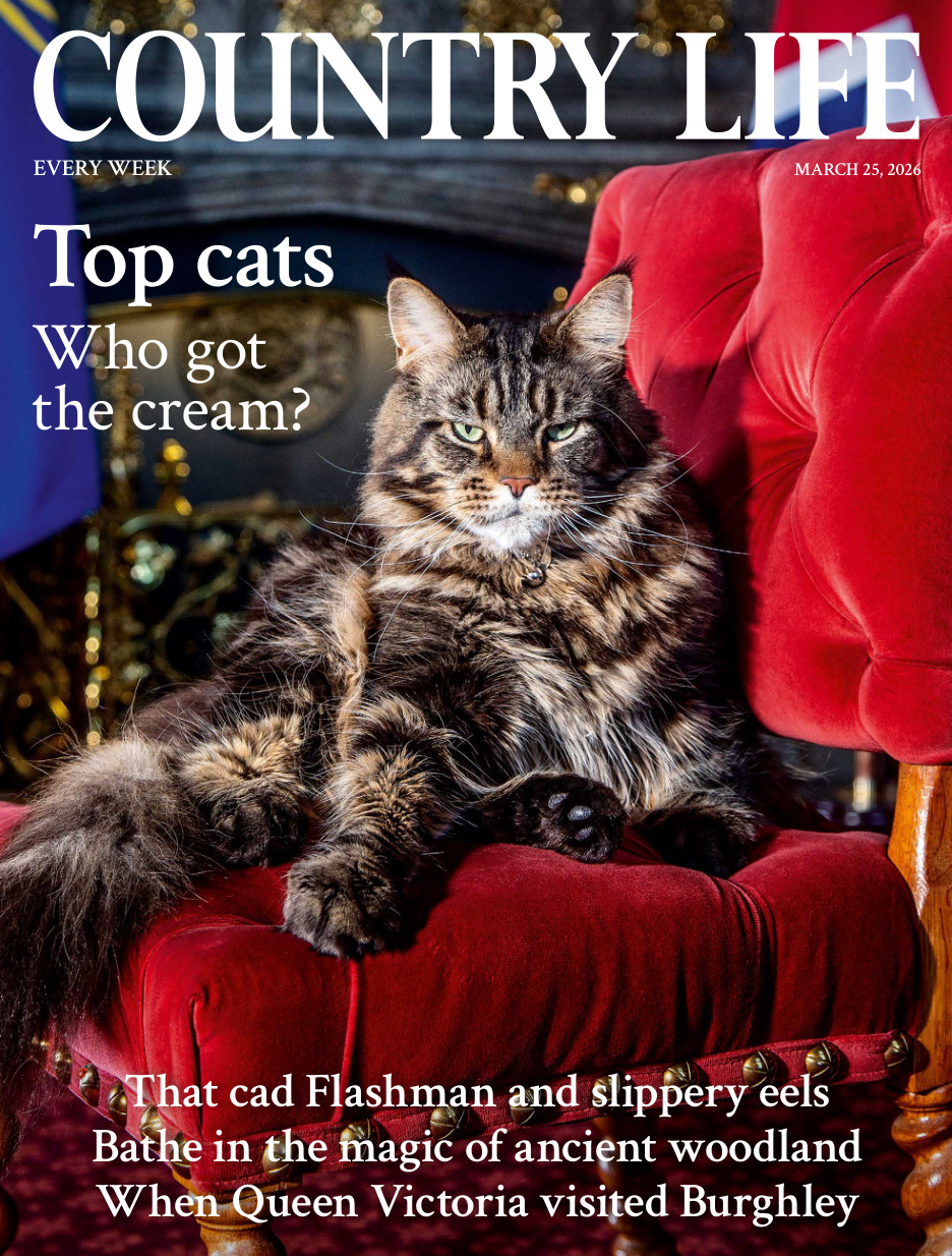 Country Life UK March 25 2026 Country Life UK Kitap Kapağı