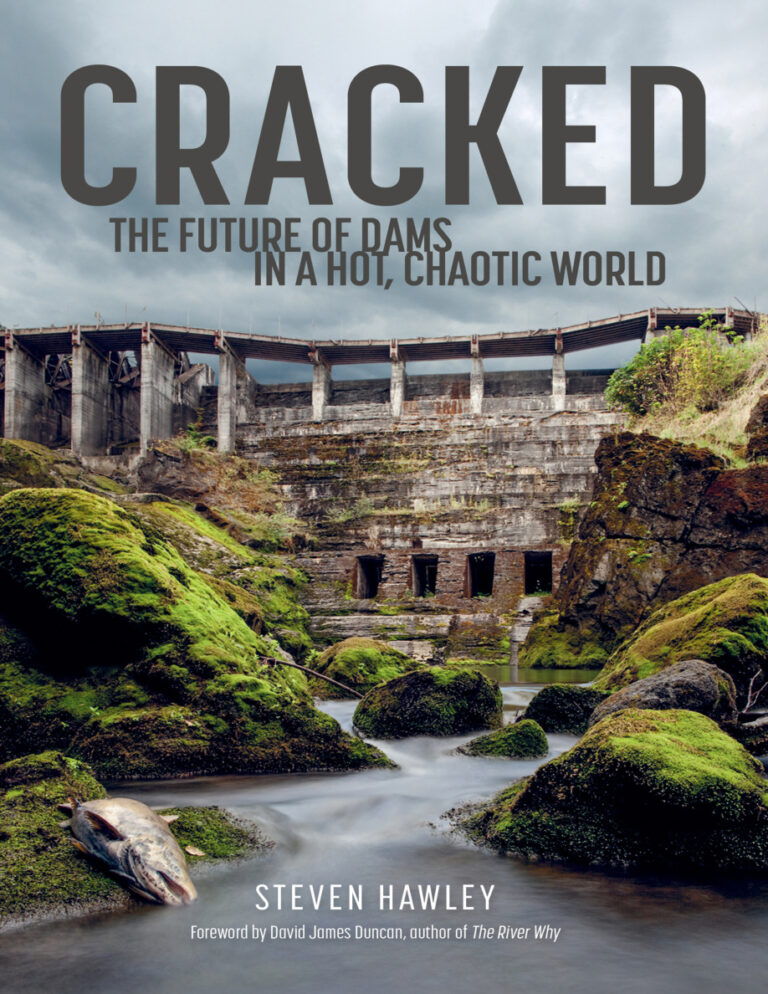 Cracked Steven Hawley Kitap Kapağı