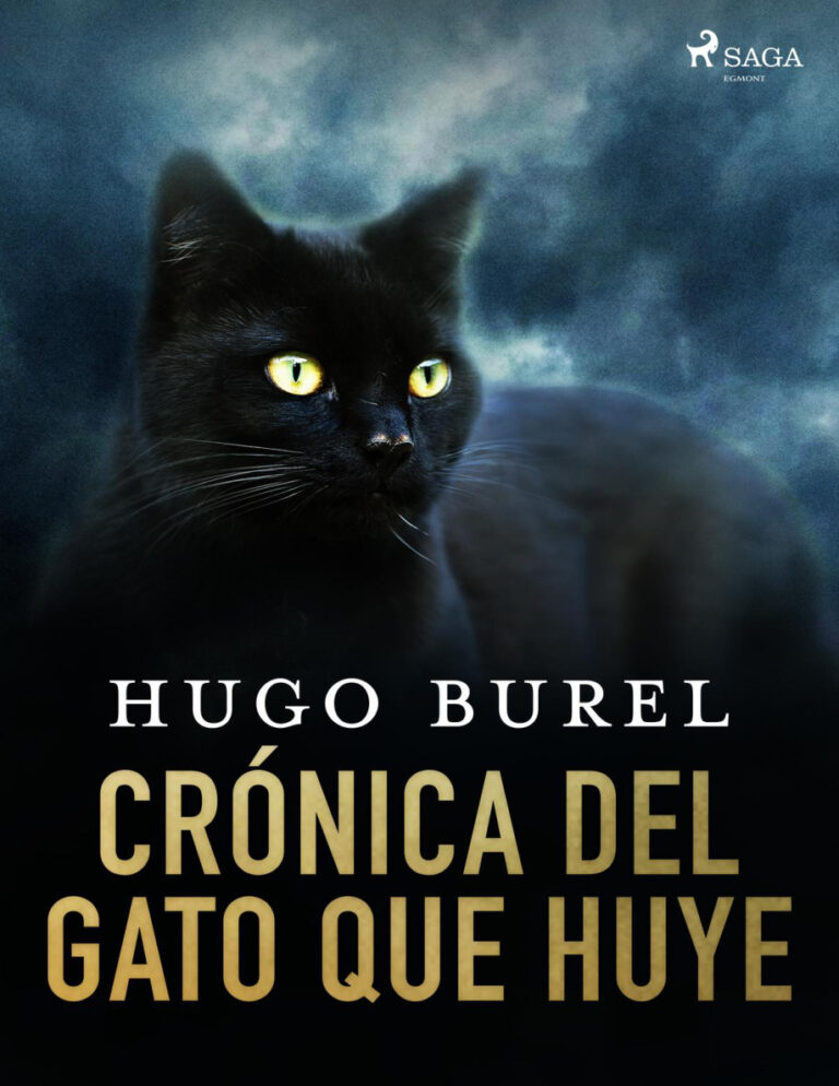 Cronica del gato que huye Spanish Edition Hugo Burel Kitap Kapağı