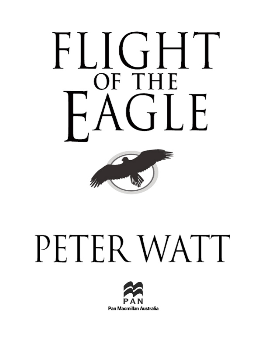 Cry of the Curlew Peter Watt Kitap Kapağı