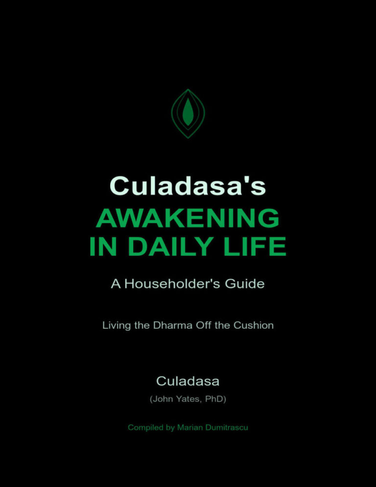 Culadasas Awakening in Daily Life John Yates Kitap Kapağı