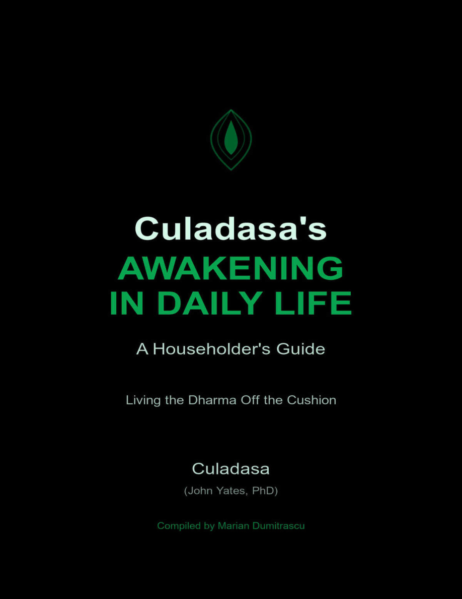 Culadasas Awakening in Daily Life John Yates Kitap Kapağı