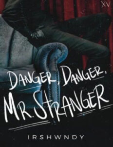 Danger Danger Mr Stranger Tagalog Edition Irshwndy Kitap Kapağı